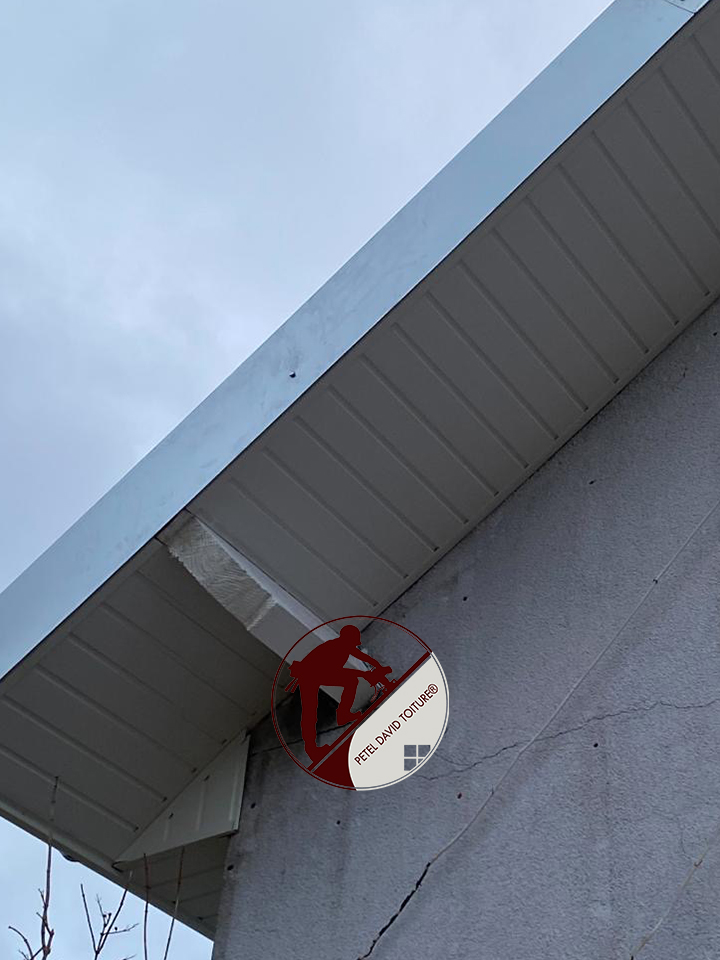 Photo-6